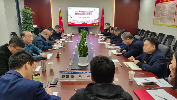 安徽248cc永利集团地产集团公司党委召开2020年度民主生涯会前征求意见座谈会