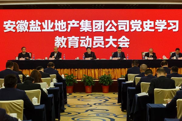 安徽248cc永利集团地产集团公司召开党史学习教育发动大会