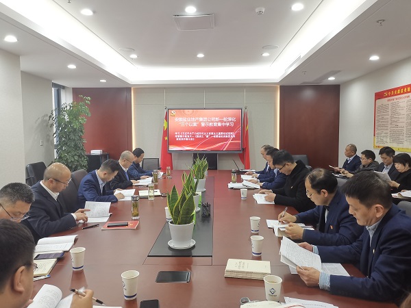 安徽248cc永利集团地产集团公司开展新一轮深化“三个以案”警示教育集中学习