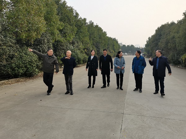 248cc永利集团(中国)有限公司