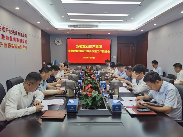 安徽248cc永利集团地产集团召开学习贯彻习近平新时代中国特色社会主义头脑主题教育向导小组聚会暨事情推进会