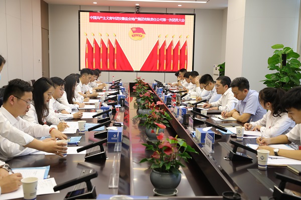 青春向党传薪火 踔厉高昂新时代——安徽248cc永利集团地产集团团支部建设大会暨团员大会胜利召开