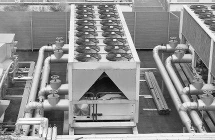 86f19c4d5292420ea2395cc97bf517b2